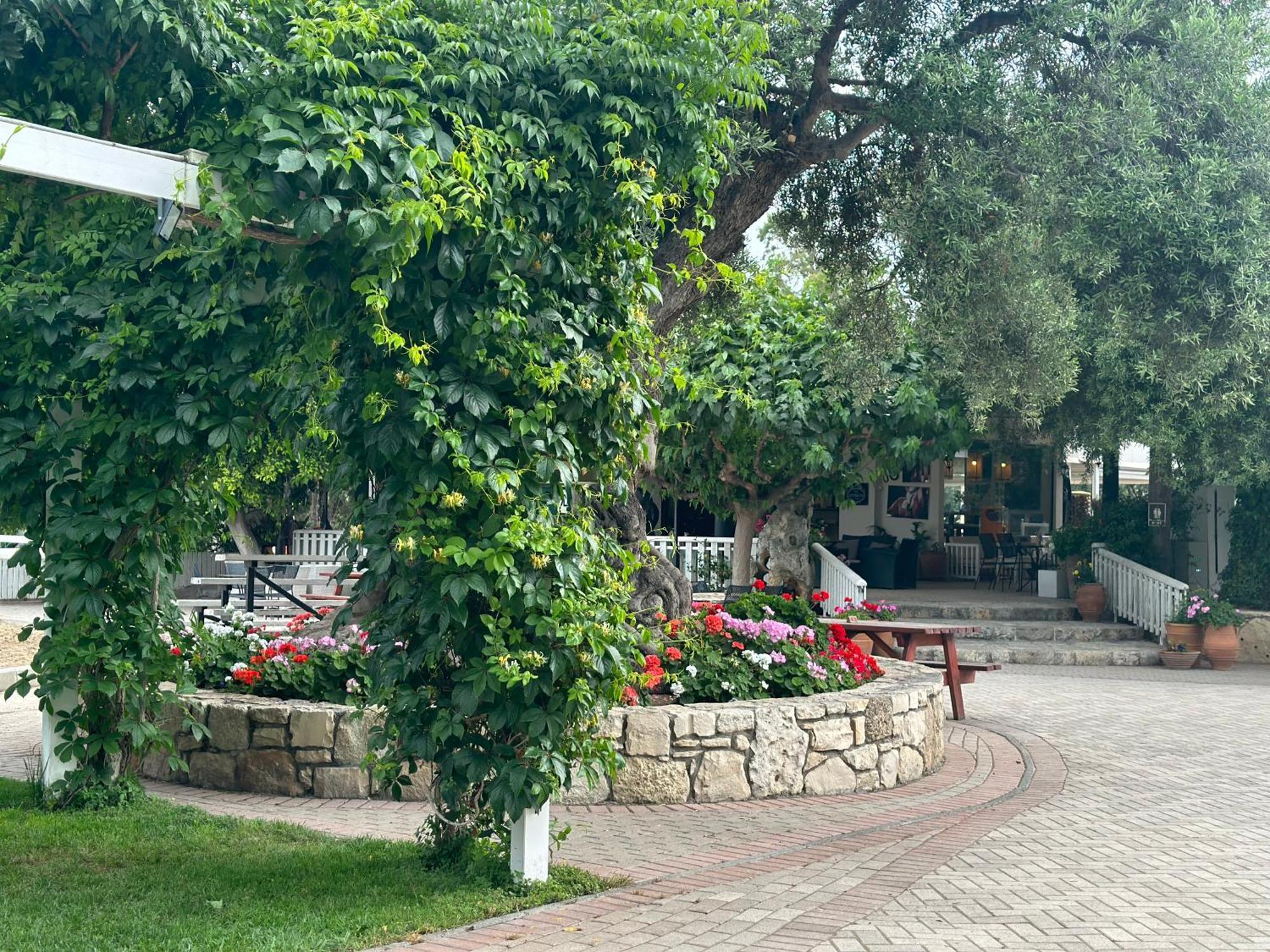 Amnisiades Apartments Καρτερός Εξωτερικό φωτογραφία